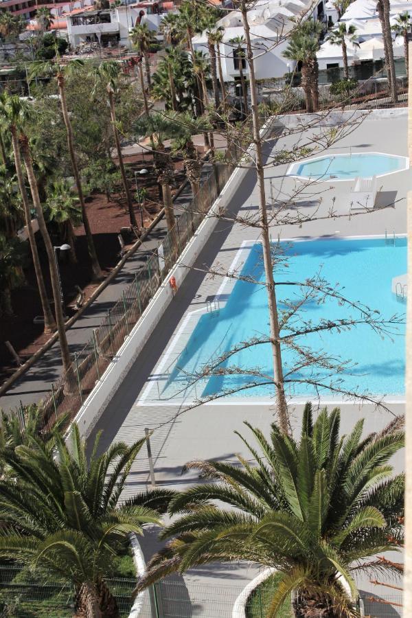 Superb Seaview Apartment In Playa De Las Americas 外观 照片